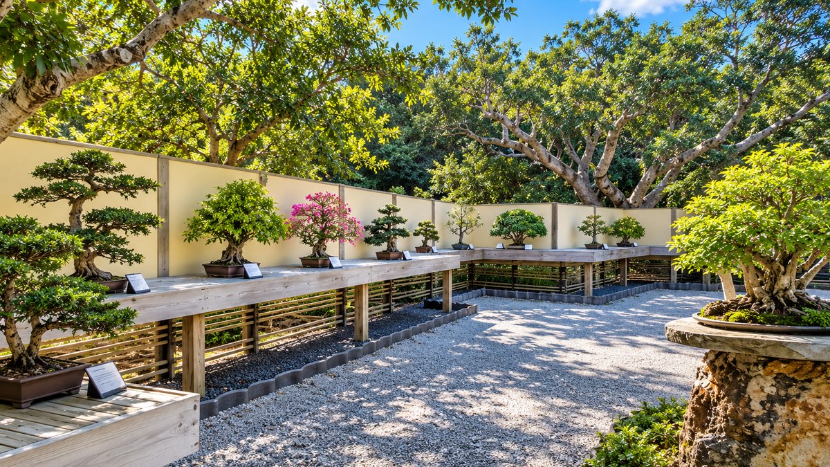 The Bonsai Collection at Morikami Museum and Japanese Gardens